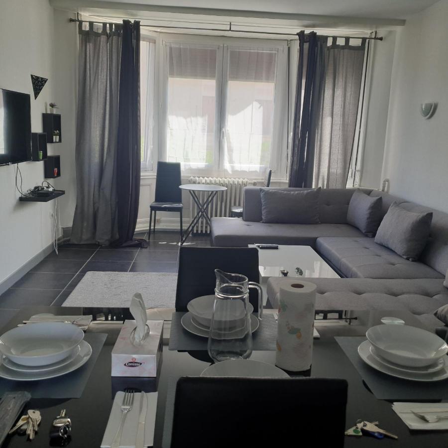 Appartement T2 Courte Duree Coup De Coeur Toute A 5 Minutes Saint-Etienne  Zewnętrze zdjęcie